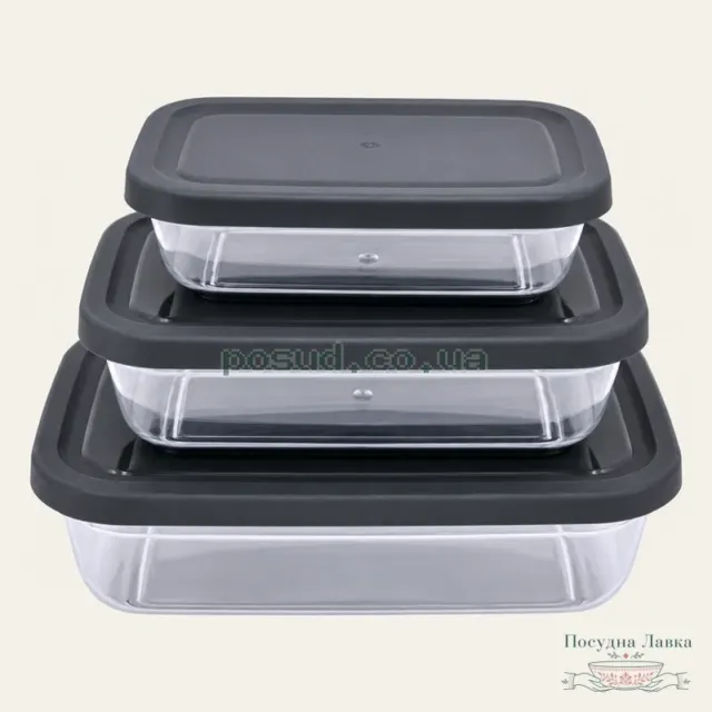 Набір прямокутних контейнерів Asude Plastik MAYA ASD037, 3 шт. (500/900/1500 мл), мікс