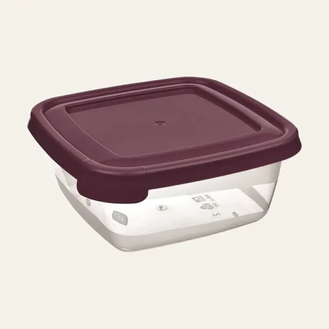 Контейнер пластиковий Bager BG-618 COOK&KEEP MIX / квадратний 0,25 л